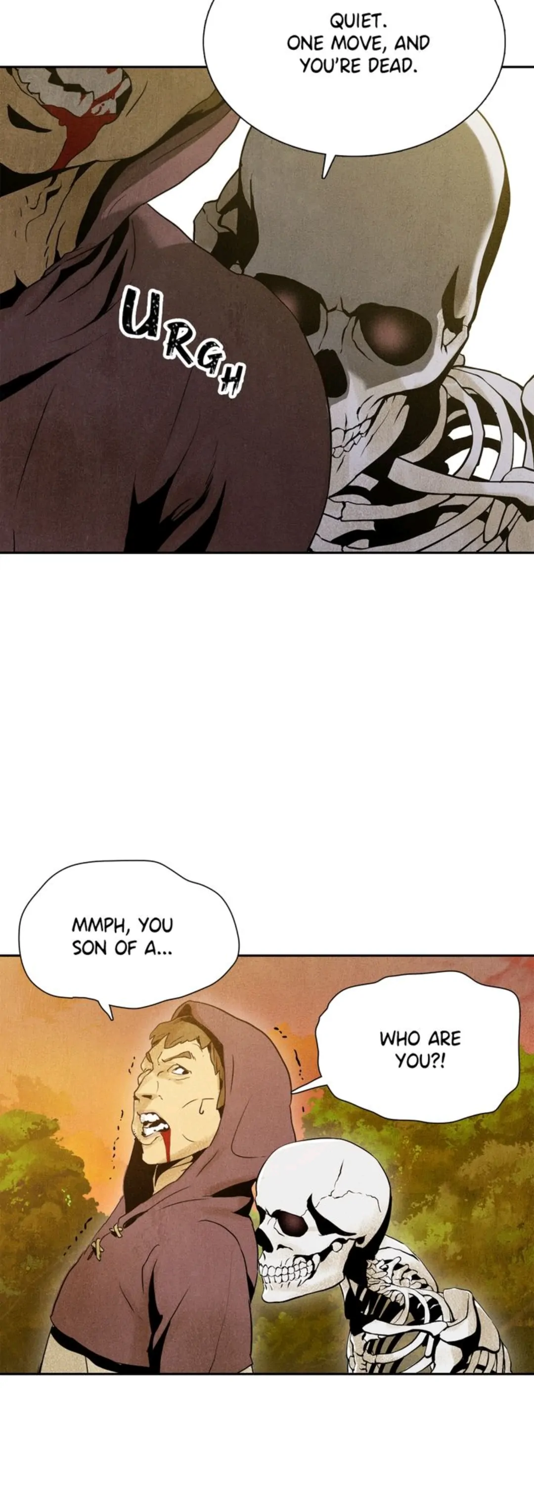 4254100 1080 3000 145436