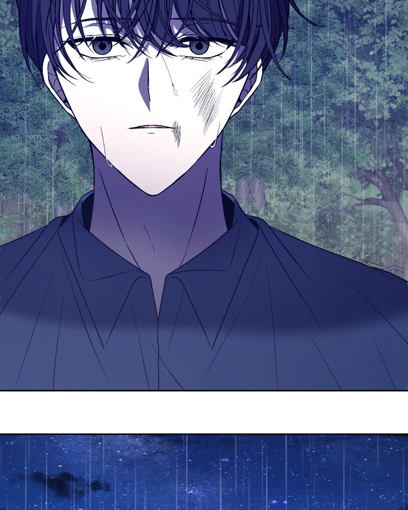 52882362 800 1000 141142